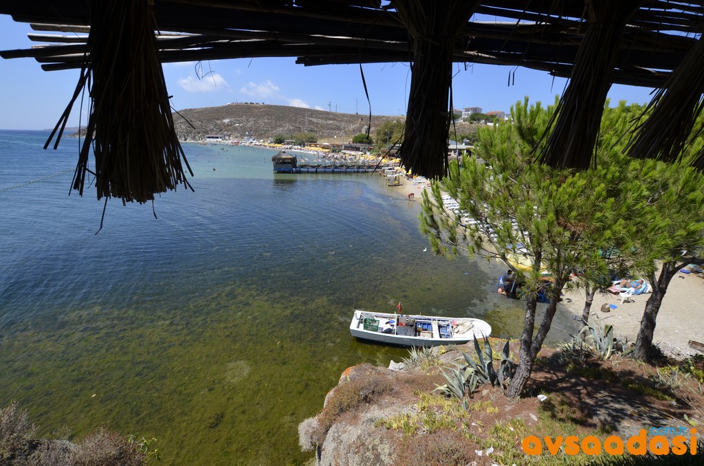 avşa adasında tatil