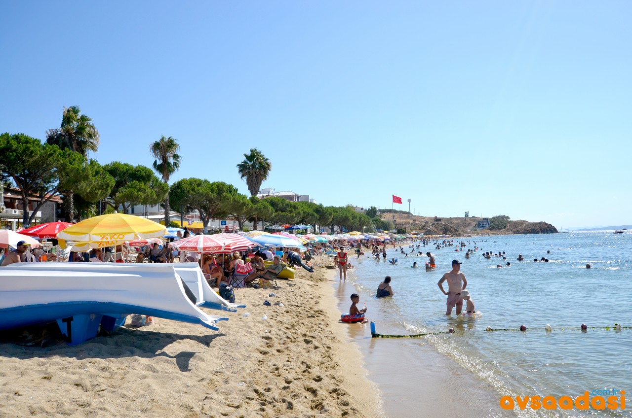 avşa adası merkez plajı