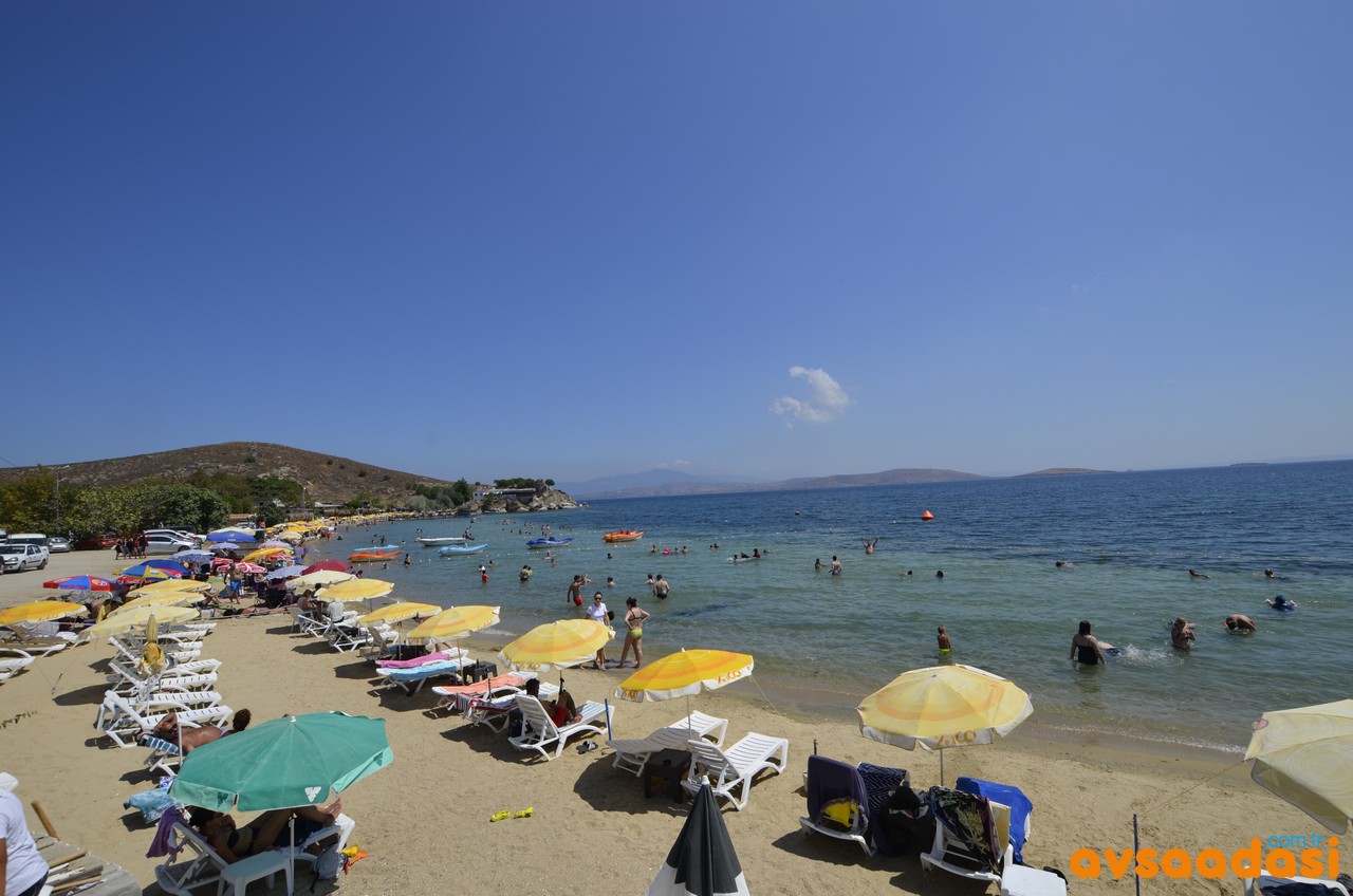 Avşa Adası Plajları