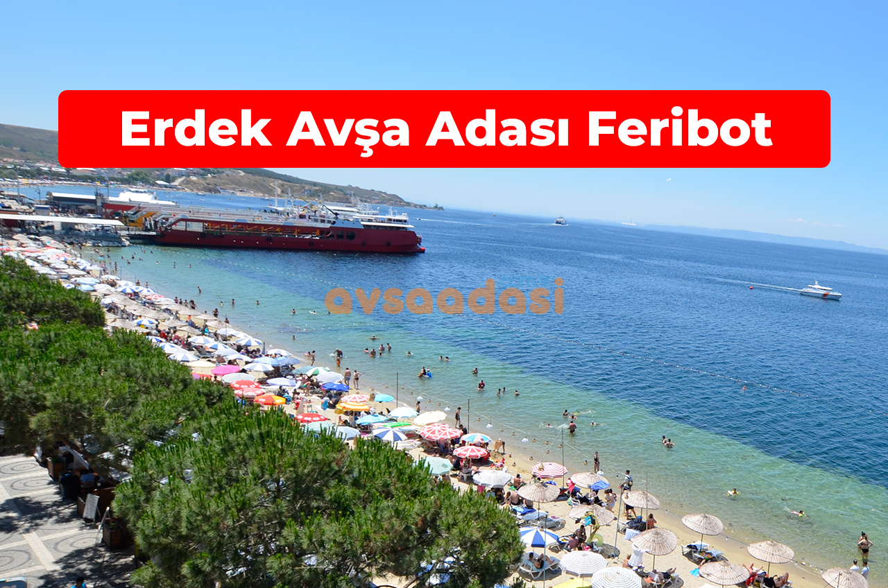 erdek avşa adası feribot