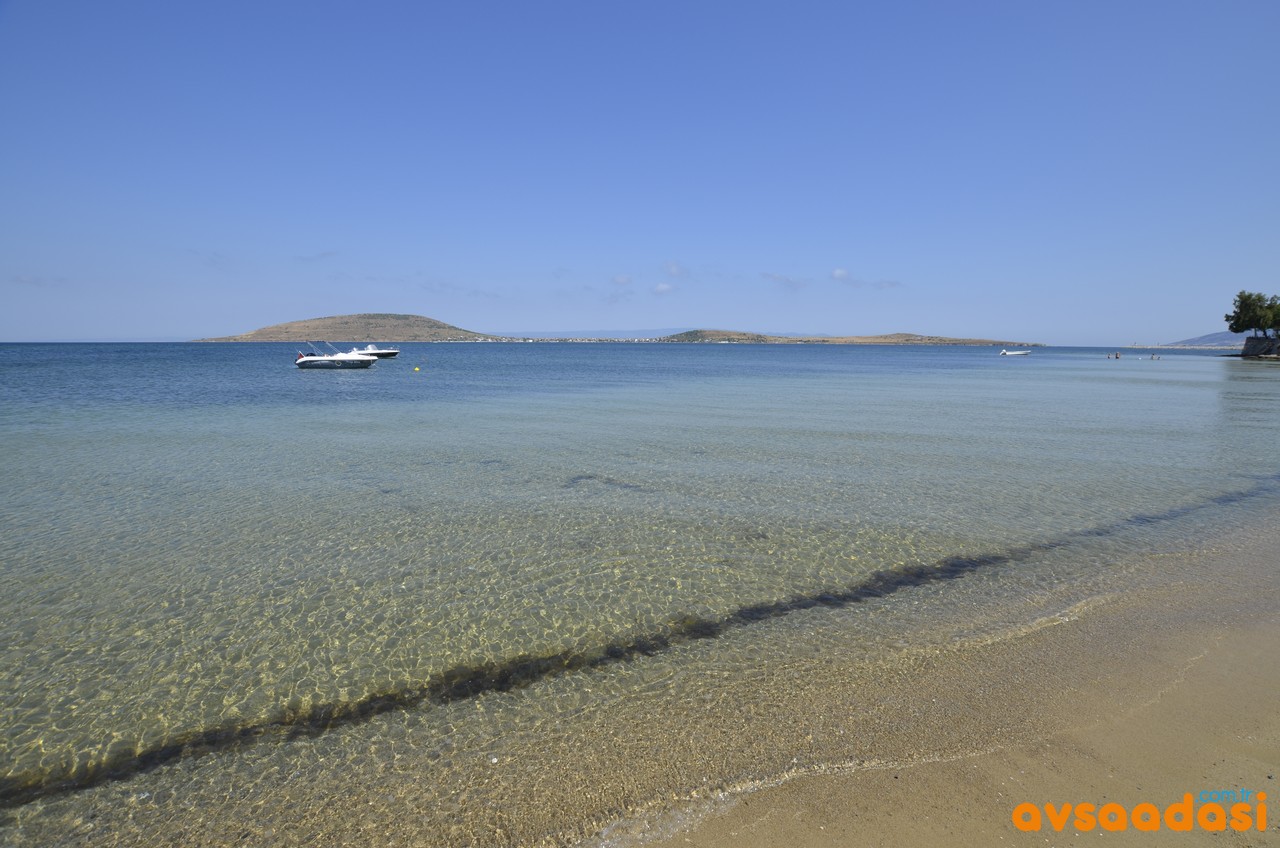 kadınlar plajı