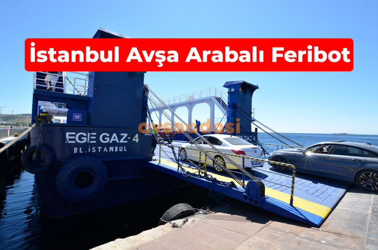 avşa adası istanbul arabalı feribot