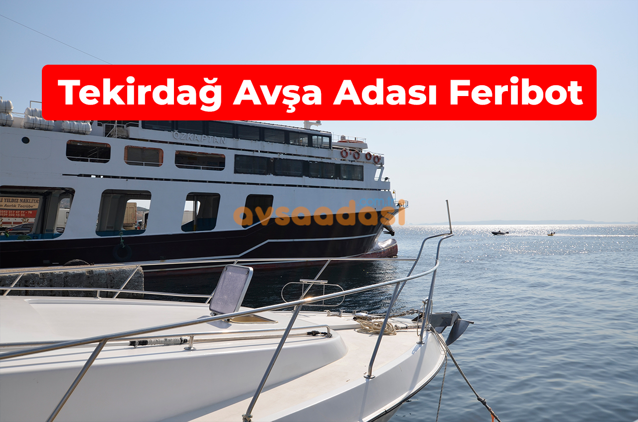 tekirdağ avşa adası feribot